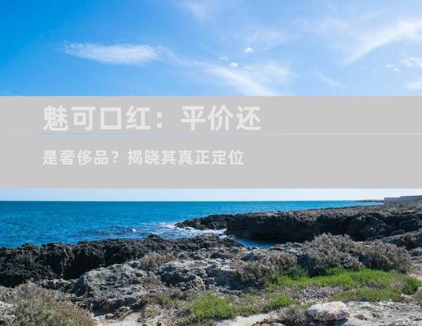 魅可口红：平价还是奢侈品？揭晓其真正定位